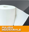Pulizia industriale